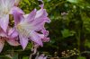 8/7 DSC_3125 site.jpg